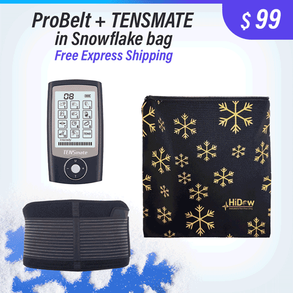 Pro Touch Wireless TENS & EMS Device